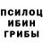 Галлюциногенные грибы Psilocybine cubensis Lyly Li