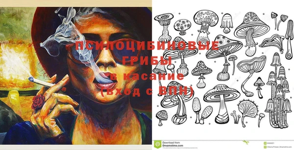 дмт Алексин