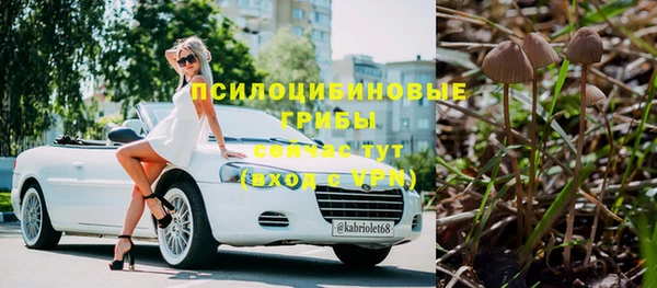 дурь Алзамай