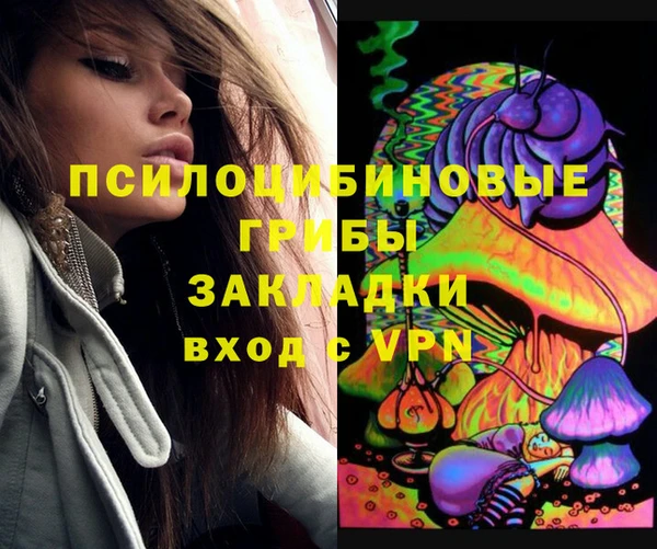 дмт Алексин