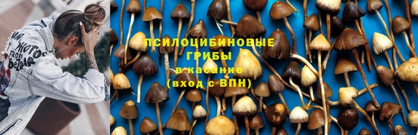 дмт Алексин