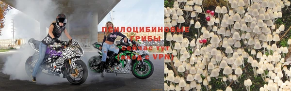 дурь Алзамай