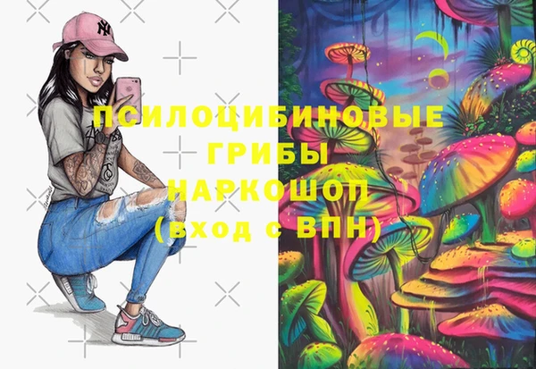 дмт Алексин